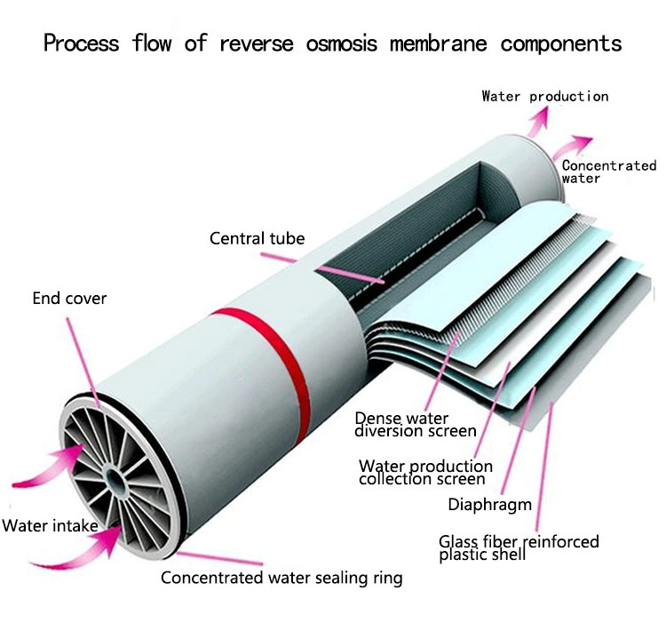 root canal ro membrane